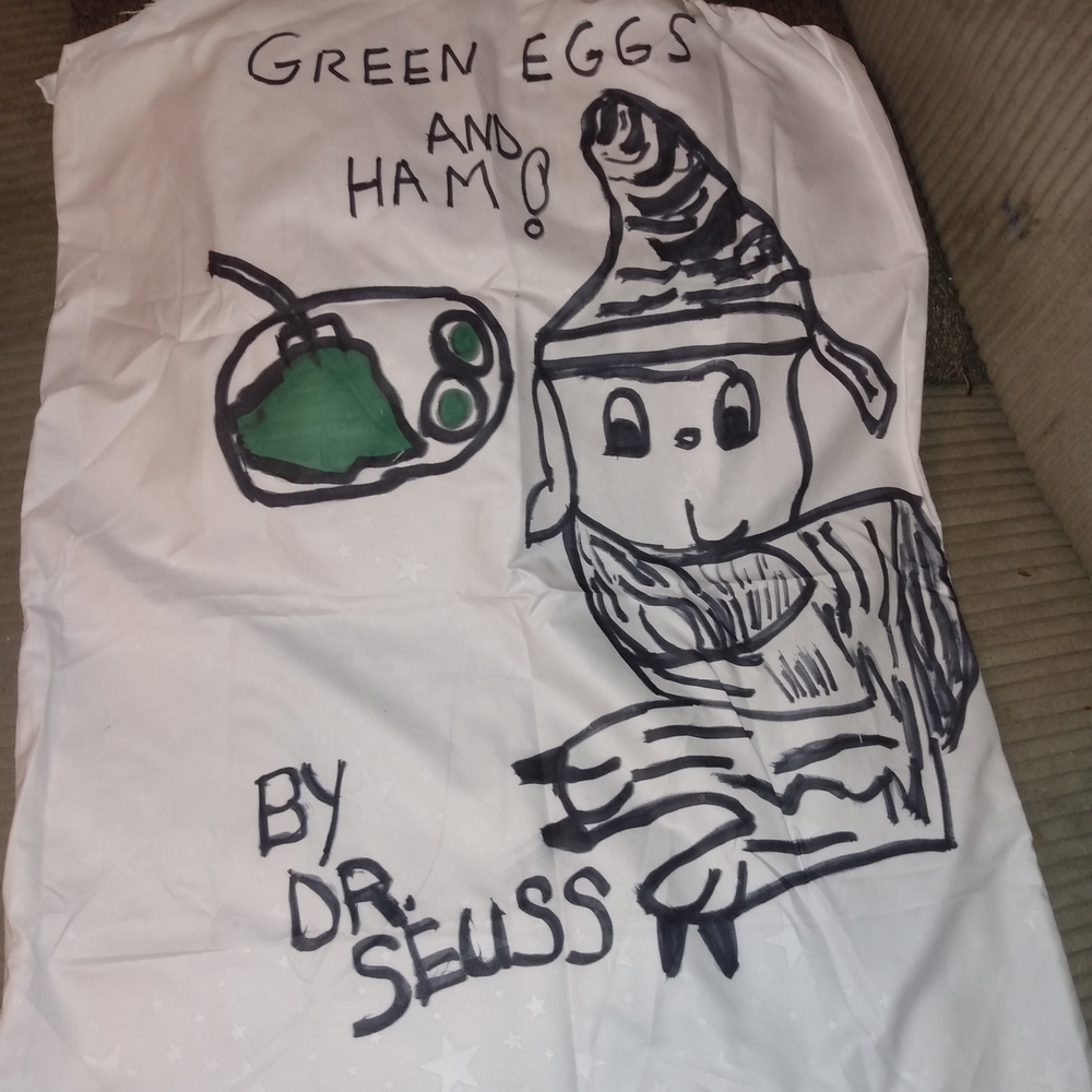 Dr. Seuss Green Eggs and Ham Pillow Or Wall Hanging .